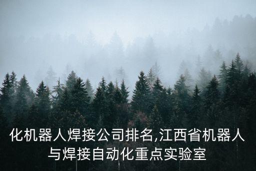 自動化機器人焊接公司排名,江西省機器人與焊接自動化重點實驗室