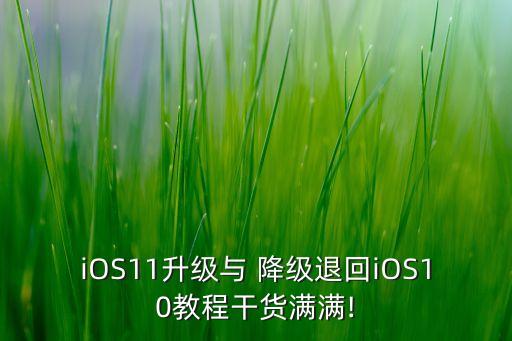 iOS11升級與 降級退回iOS10教程干貨滿滿!