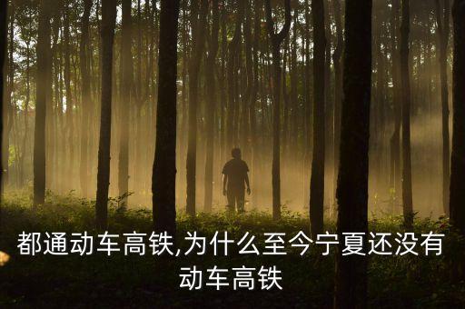 都通動車高鐵,為什么至今寧夏還沒有動車高鐵