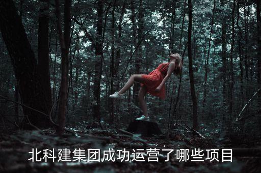 北科建集團(tuán)成功運(yùn)營(yíng)了哪些項(xiàng)目
