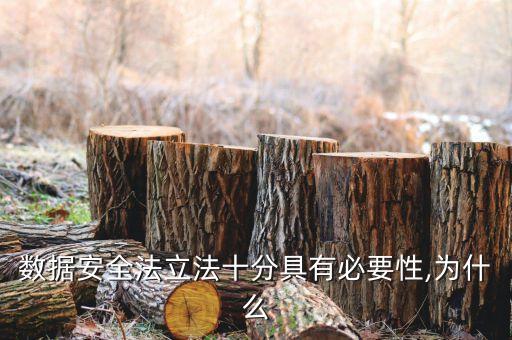 數(shù)據(jù)安全法立法十分具有必要性,為什么