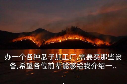 瓜子自動化設(shè)備圖片,自動化設(shè)備零件圖片
