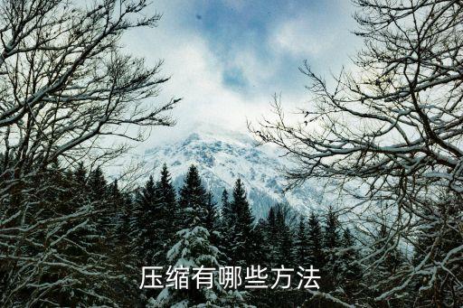 壓縮有哪些方法