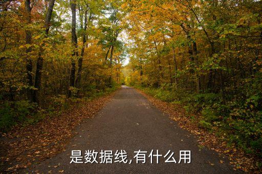 是數(shù)據(jù)線,有什么用