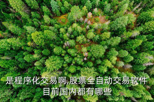 股票自動化交易叫什么公司,自動化股票交易軟件