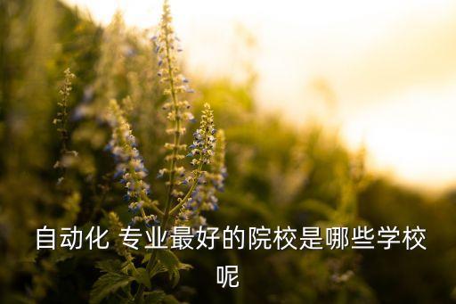  自動化 專業(yè)最好的院校是哪些學校呢