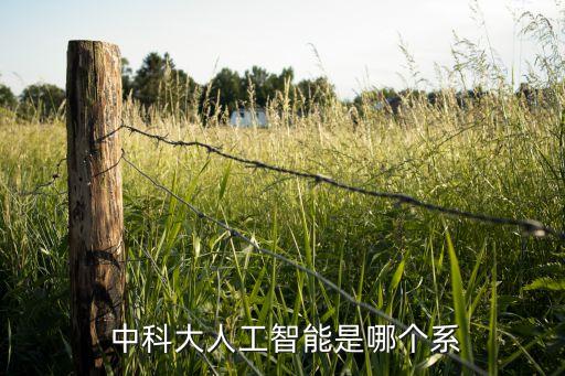  中科大人工智能是哪個(gè)系