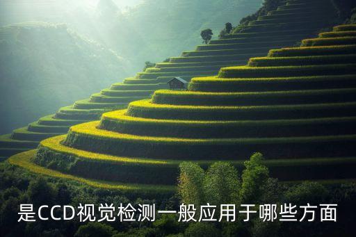 是CCD視覺檢測一般應(yīng)用于哪些方面