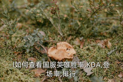 l如何查看國(guó)服英雄勝率,KDA,登場(chǎng)率,排行