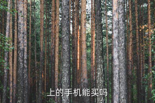 天貓大數(shù)據(jù)手機,換手機天貓數(shù)據(jù)轉(zhuǎn)移