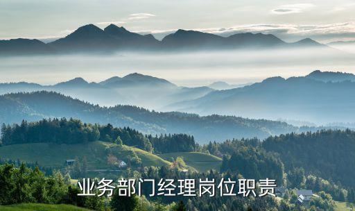 自動化公司業(yè)務(wù)部職責(zé)范圍,公司業(yè)務(wù)部經(jīng)理職責(zé)