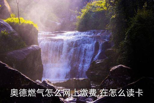 奧德燃?xì)庠趺淳W(wǎng)上繳費(fèi),在怎么讀卡