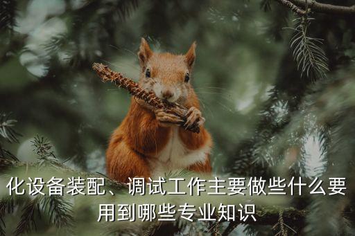 化設備裝配、調試工作主要做些什么要用到哪些專業(yè)知識