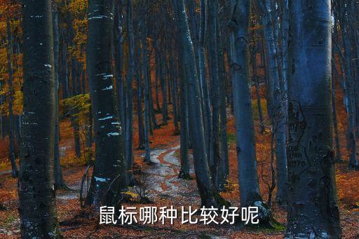 煉獄蝰蛇 移動(dòng)數(shù)據(jù)跟蹤,哪款電競(jìng)鼠標(biāo)比較好?