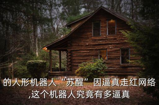 目前最逼真的機(jī)器人,最逼真的機(jī)器人