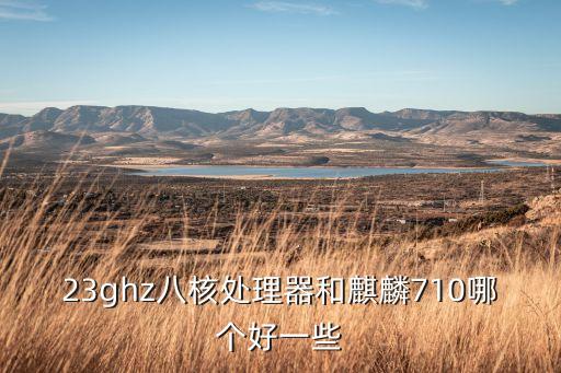 23ghz八核處理器和麒麟710哪個好一些