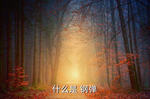 什么是 鋼彈