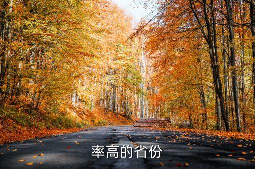 率高的省份
