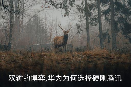華為騰訊 用戶數(shù)據(jù)失敗,騰訊用戶數(shù)據(jù)