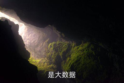 是大數(shù)據(jù)