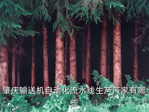 肇慶輸送機自動化流水線生產(chǎn)廠家有哪些