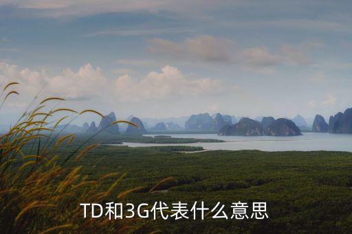 TD和3G代表什么意思