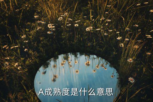數(shù)據(jù)安全成熟度,提高數(shù)據(jù)分析能力成熟度的四個(gè)步驟