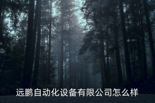 遠(yuǎn)鵬自動(dòng)化設(shè)備有限公司怎么樣