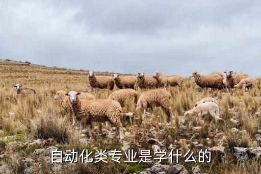 自動(dòng)化專(zhuān)業(yè)學(xué)哪些,自動(dòng)化類(lèi)專(zhuān)業(yè)是什么?