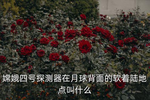 嫦娥四號探測器在月球背面的軟著陸地點叫什么