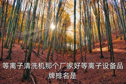 等離子清洗機那個廠家好等離子設(shè)備品牌排名是