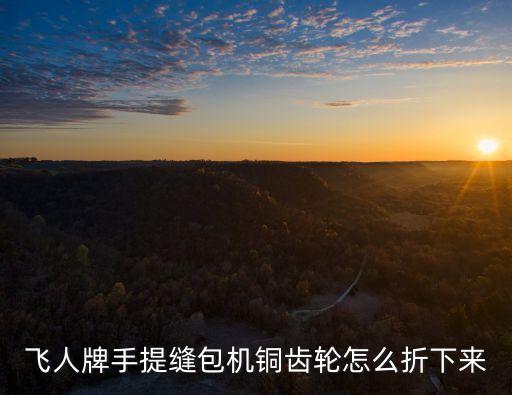 飛人牌手提縫包機(jī)銅齒輪怎么折下來
