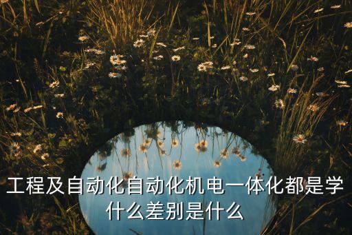 工程及自動(dòng)化自動(dòng)化機(jī)電一體化都是學(xué)什么差別是什么