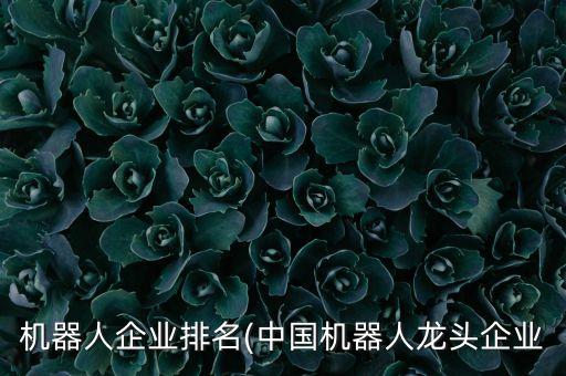 機(jī)器人企業(yè)排名(中國(guó)機(jī)器人龍頭企業(yè)