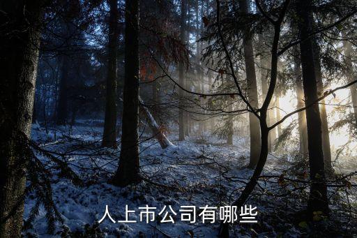 柯瑪機(jī)器人代理,昏迷機(jī)器人