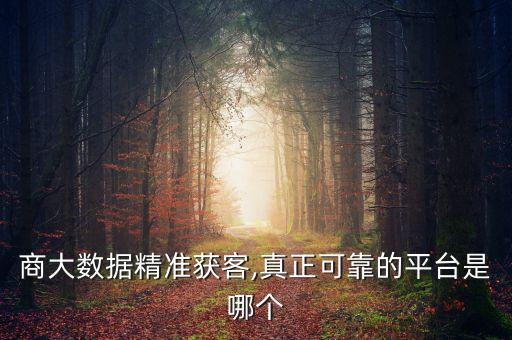 商大數(shù)據(jù)精準獲客,真正可靠的平臺是哪個