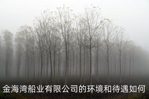 金海灣船業(yè)有限公司的環(huán)境和待遇如何