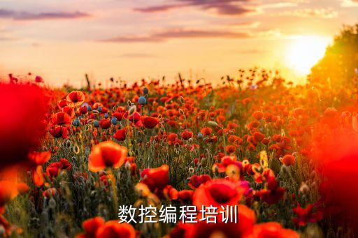 數(shù)控編程培訓(xùn)