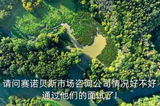 請問賽諾貝斯市場咨詢公司情況好不好通過他們的面試了!