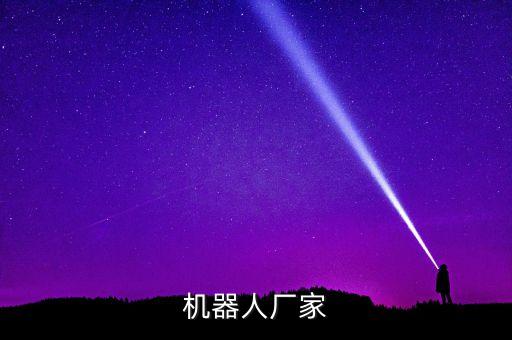 機(jī)器人廠家