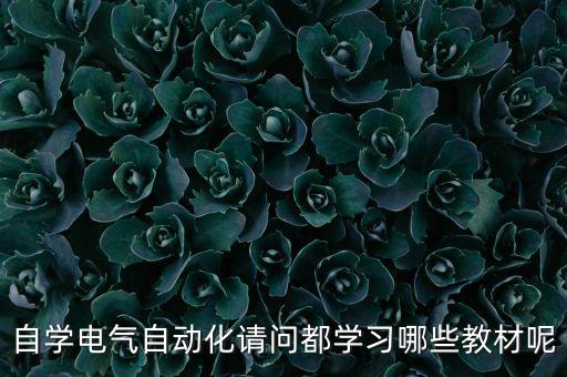 自學(xué)電氣自動(dòng)化請問都學(xué)習(xí)哪些教材呢