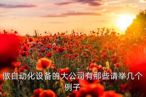 做自動(dòng)化設(shè)備的大公司有那些請(qǐng)舉幾個(gè)例子