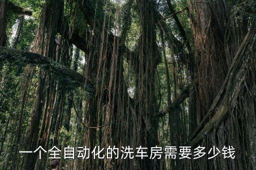 山東自動(dòng)化設(shè)備要多少錢,一套自動(dòng)化設(shè)備多少錢?
