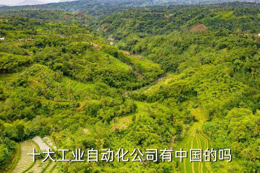 十大工業(yè)自動化公司有中國的嗎