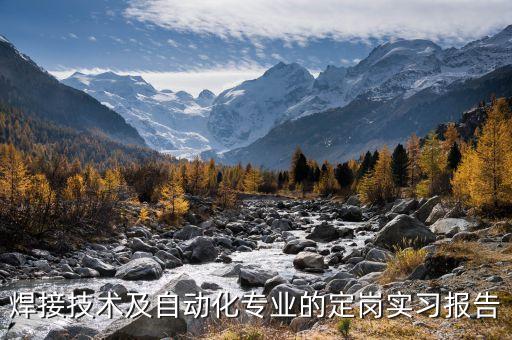 自動化設(shè)備的設(shè)計(jì)實(shí)習(xí)報告,自動化設(shè)備實(shí)習(xí)報告