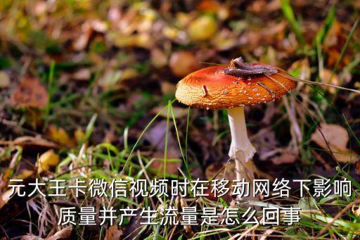 元大王卡微信視頻時(shí)在移動(dòng)網(wǎng)絡(luò)下影響質(zhì)量并產(chǎn)生流量是怎么回事