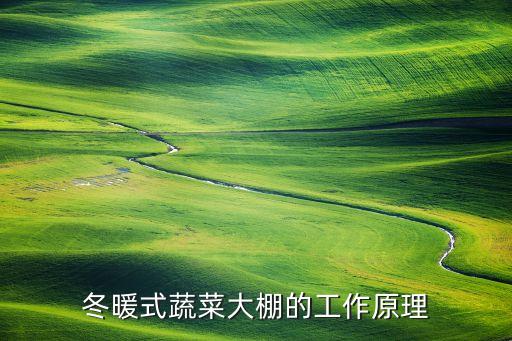電氣大棚自動化控制系統(tǒng),大棚自動化控制系統(tǒng)有哪些亮點(diǎn)?