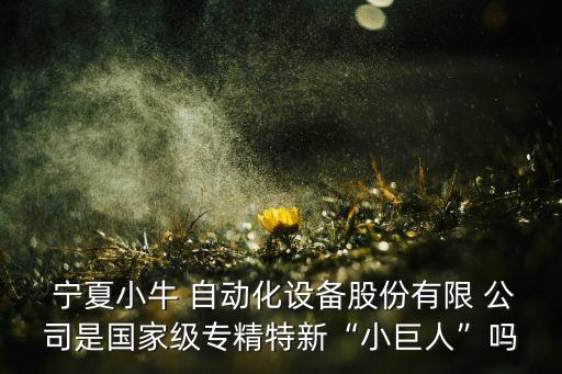  寧夏小牛 自動化設(shè)備股份有限 公司是國家級專精特新“小巨人”嗎