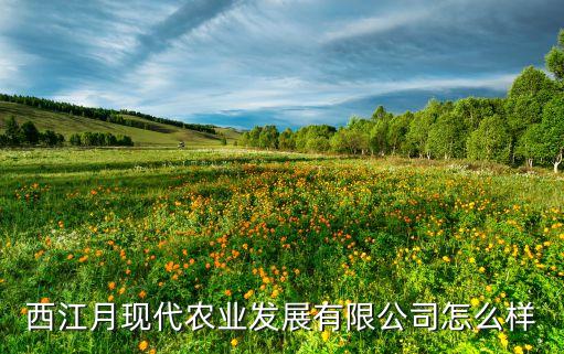現(xiàn)代自動(dòng)化農(nóng)業(yè)公司簡(jiǎn)介,自動(dòng)化設(shè)備公司介紹