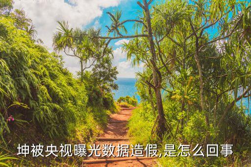 坤被央視曝光數(shù)據(jù)造假,是怎么回事